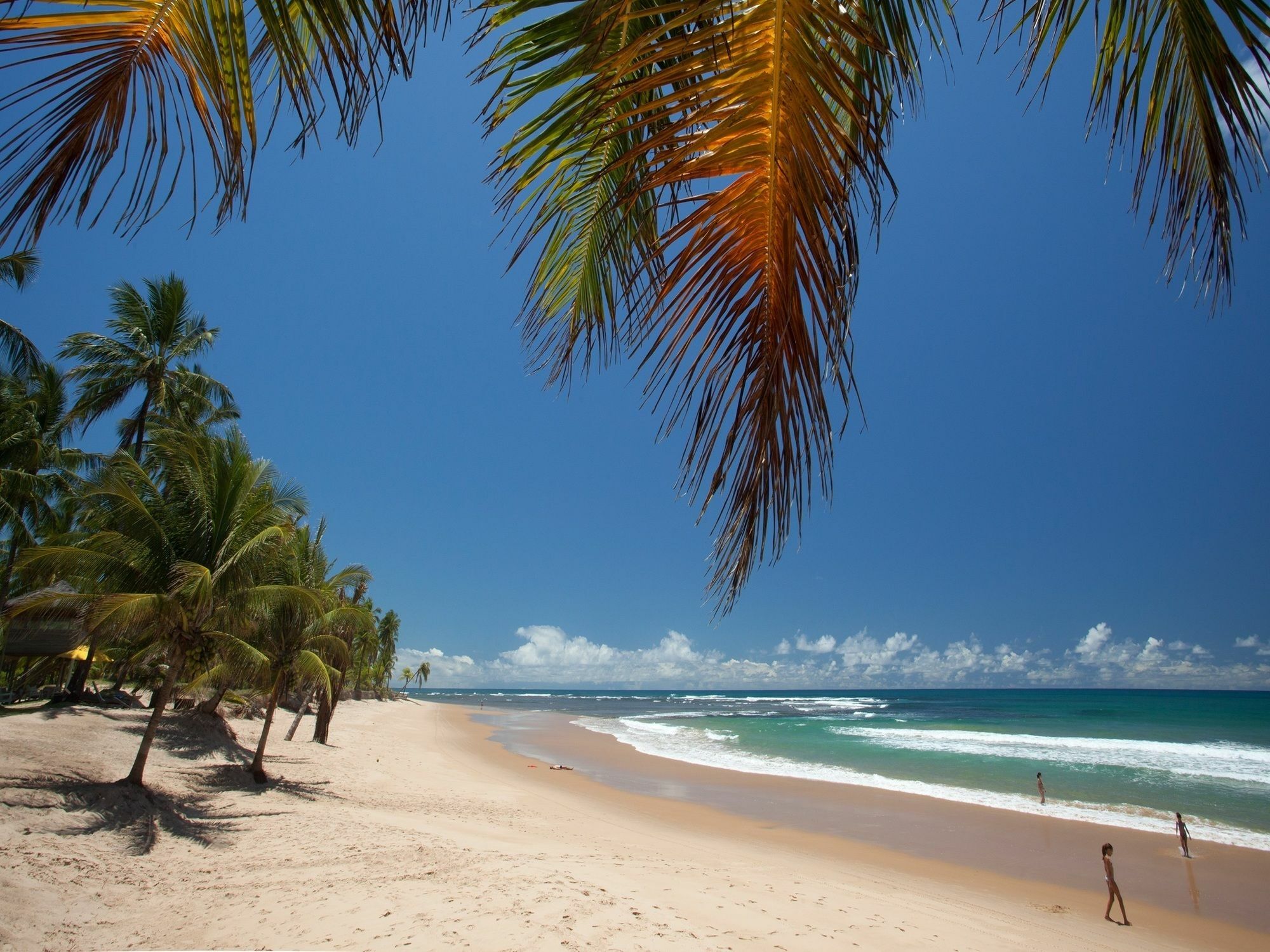 Taipu De Fora Marau (Bahia)